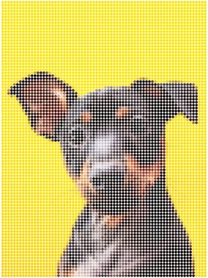 DOTTED YELLOW DOG