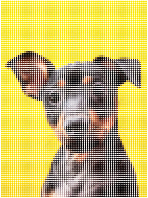DOTTED YELLOW DOG