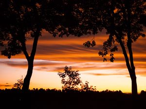 CÉU DE SP
