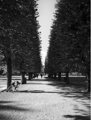 TARDE NO PARQUE COPENHAGEN