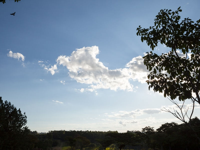 3 DA TARDE NA FAZENDA