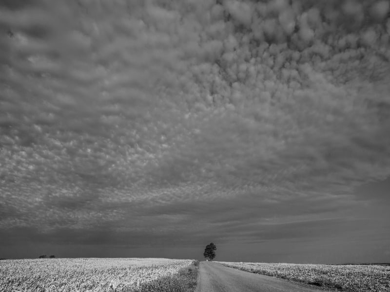 PAISAGEM PB 01