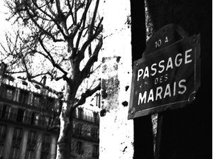 ARTE SOBRE FOTO - PARIS, 2009