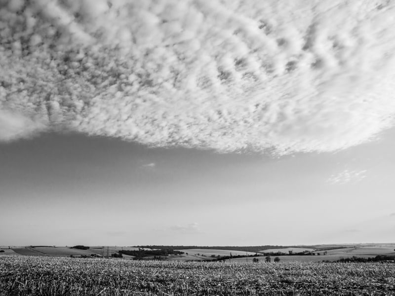 A PAISAGEM NO CAMPO P&B