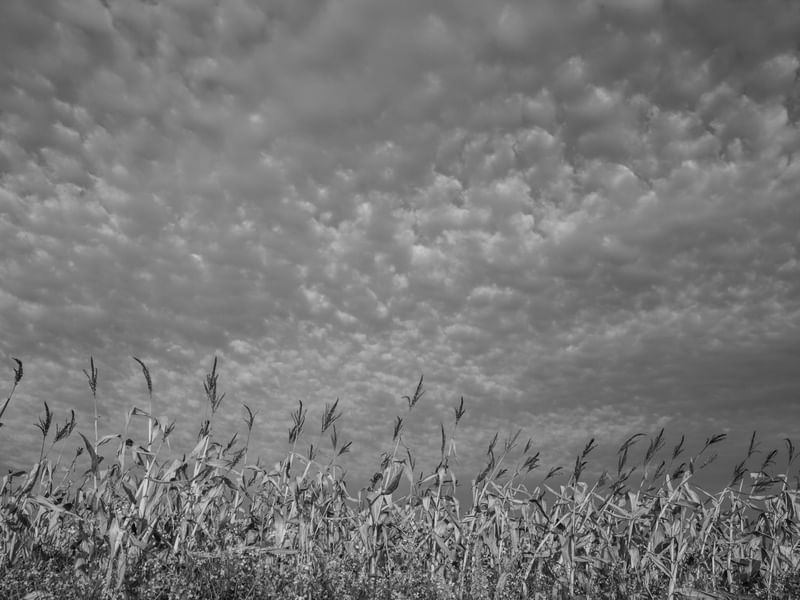 MILHARAL & NUVENS PB