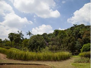 PARQUE 2022 3