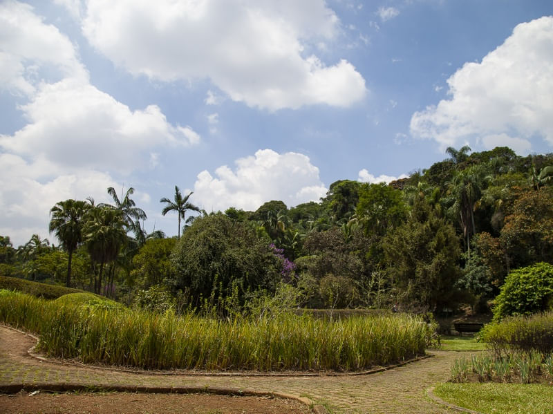 PARQUE 2022 3