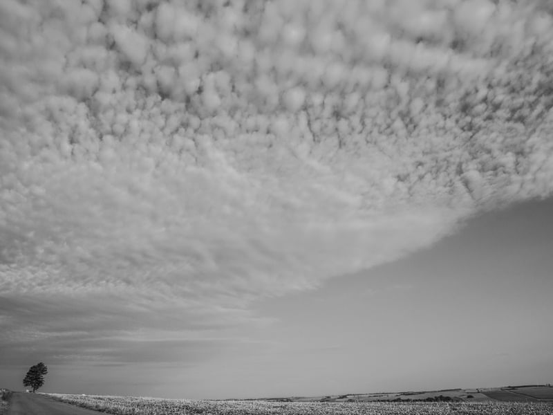 O CÉU NO CAMPO