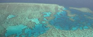 CORAL SEA