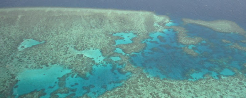 CORAL SEA