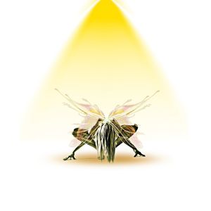 GOLDEN FAIRY