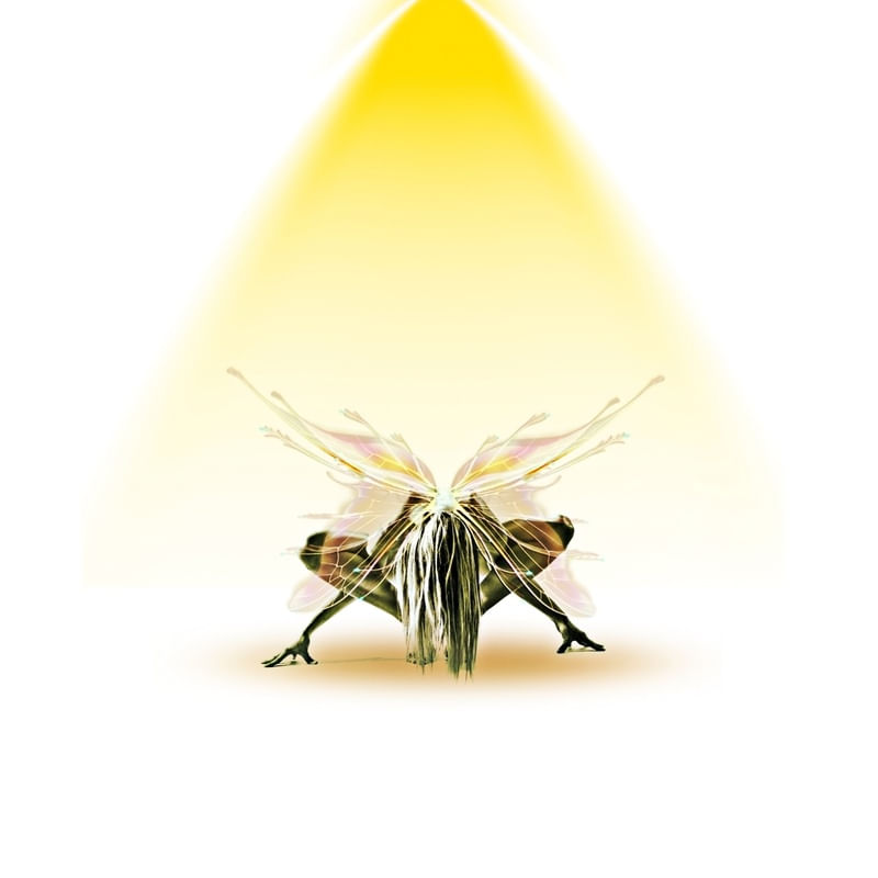 GOLDEN FAIRY
