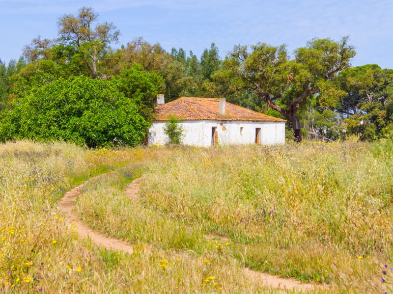 CASA TÍPICA PORTUGUESA EM CAMPO NO ALENTEJO 2
