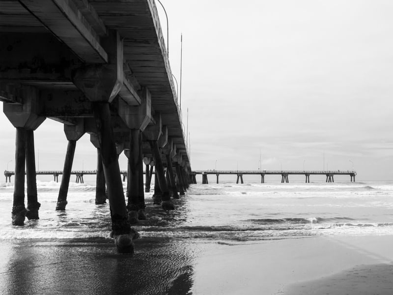 PIER PLATAFORMA