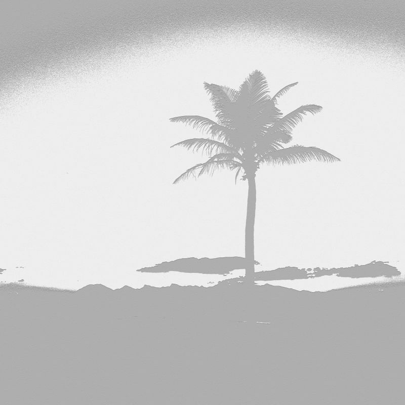 PERDIDO NA ILHA