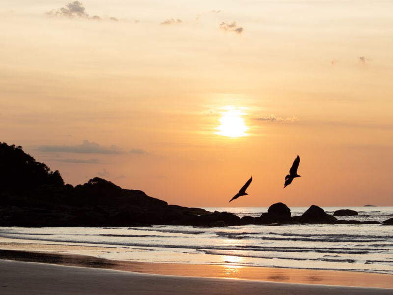 PRAIA DO SONHO