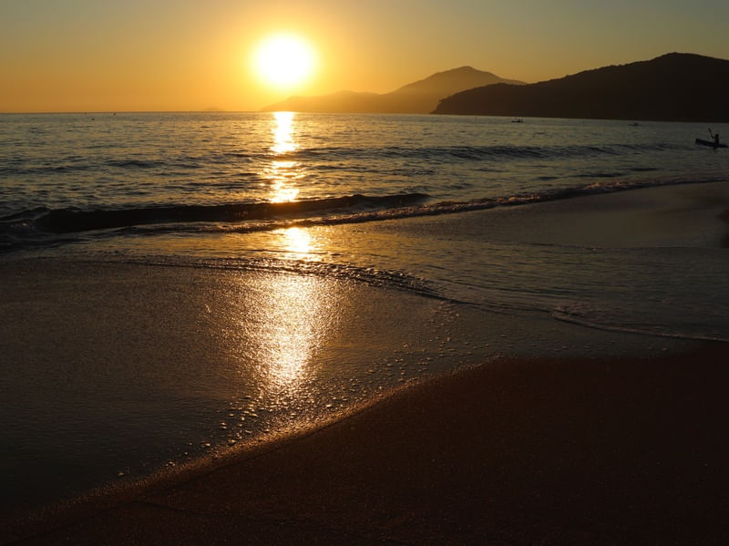 SUNSET DREAMS