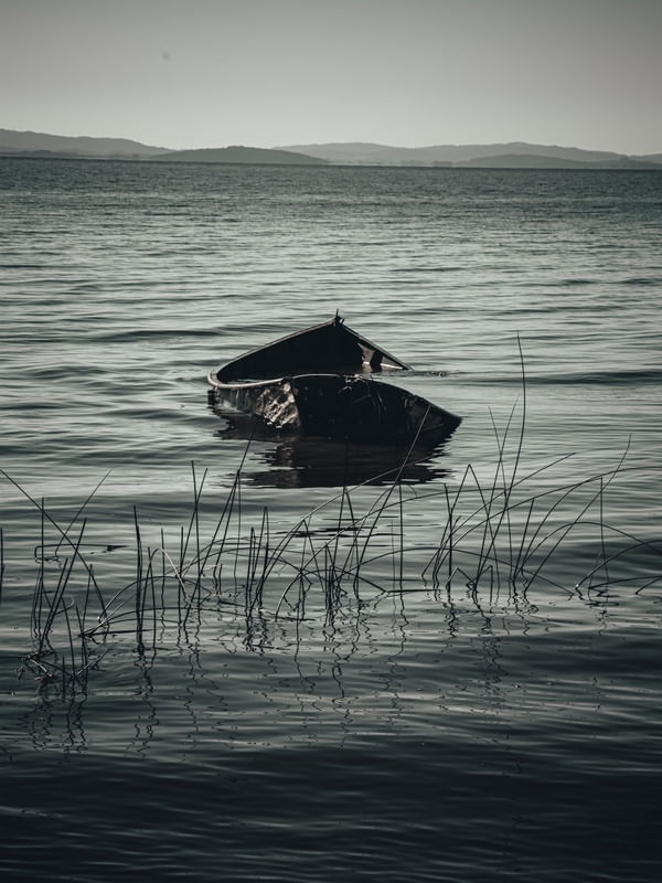 MAIS UMA ESTÓRIA DE PESCADOR