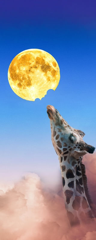 DEVORANDO A LUA