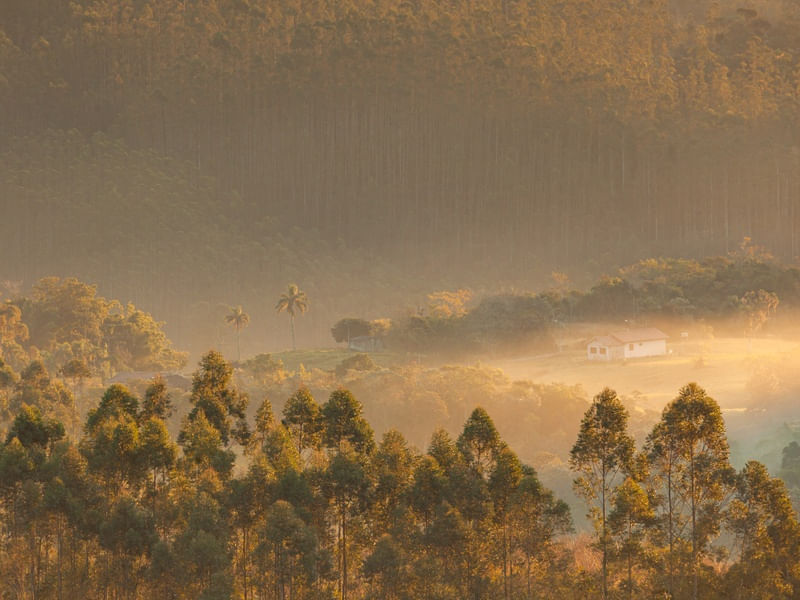 AMANHECER NO SITIO - LAURO MULLER