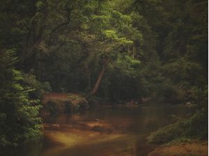 CACHOEIRA MATA ATLÂNTICA