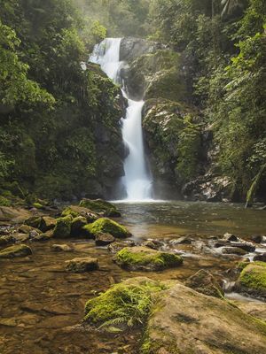 CACHOEIRA DO CHÁ