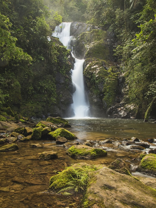 CACHOEIRA DO CHÁ