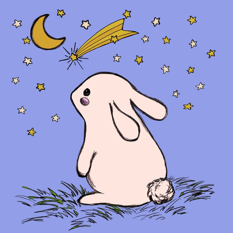 TSUKIMI 1 PERVINCA COELHO, INFANTIL ANIMAL COELHINHO ESTRELAS SKETCH