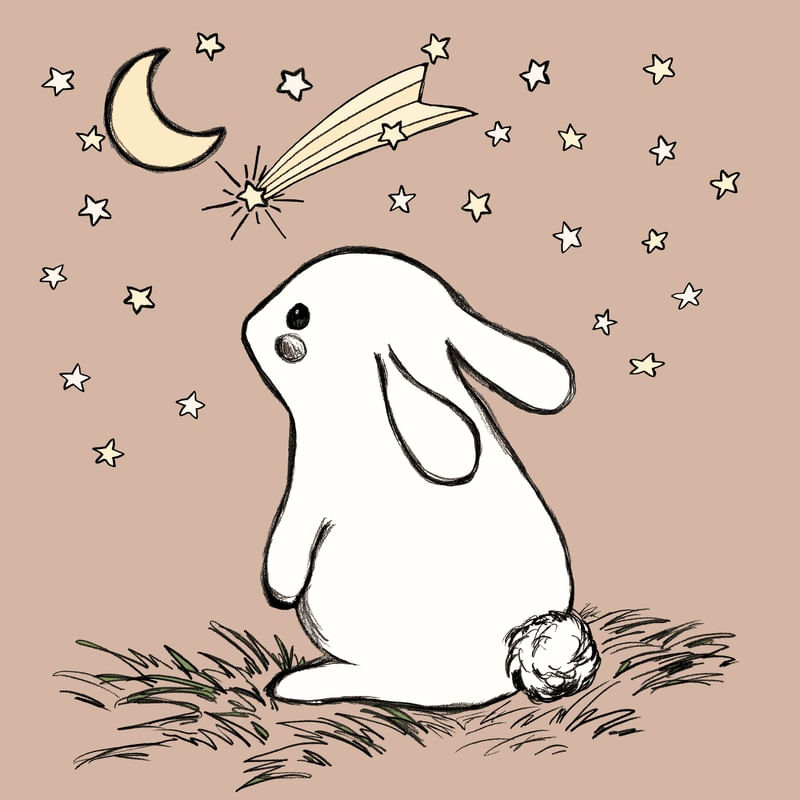 TSUKIMI 4 BEGE COELHO, INFANTIL ANIMAL COELHINHO ESTRELAS SKETCH