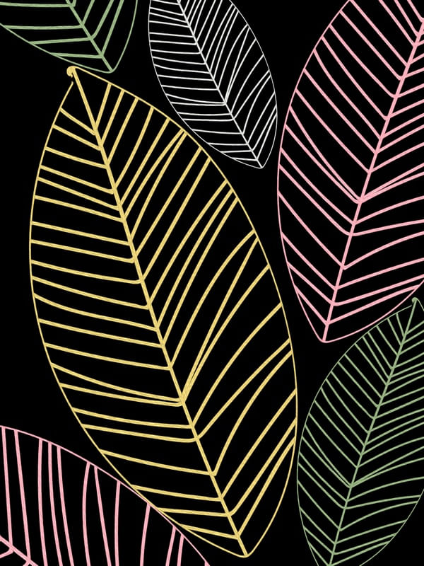TROPICAL BLACK COLOR
