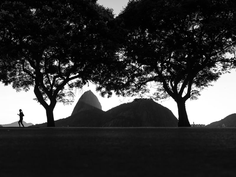 PÃO DE AÇÚCAR ARBORIZADO PB 2