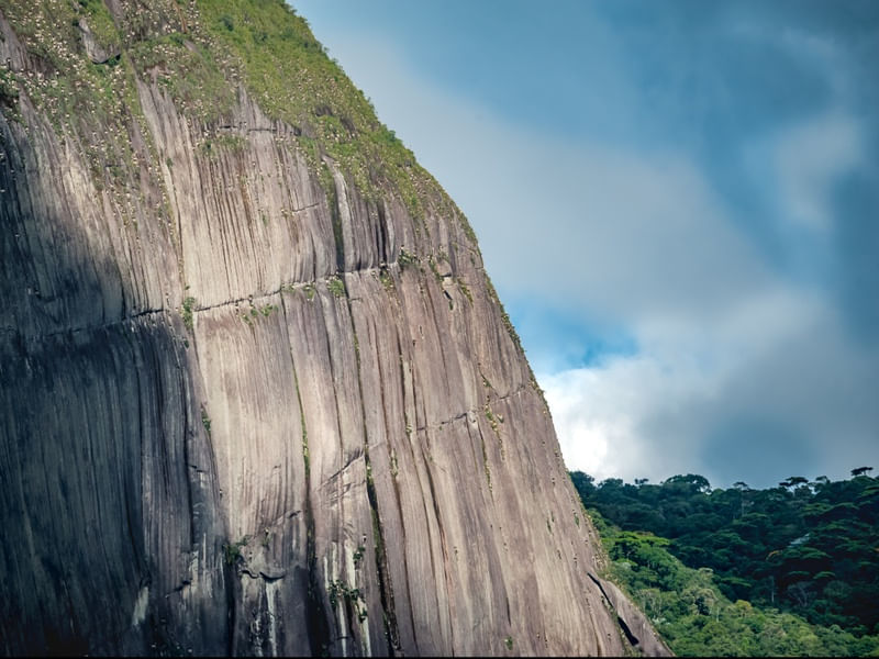 PEDRA RISCADA