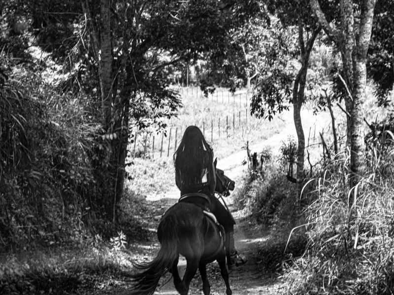 AMAZONA