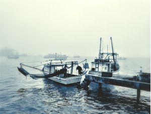 FISHING BOATS FAU 02