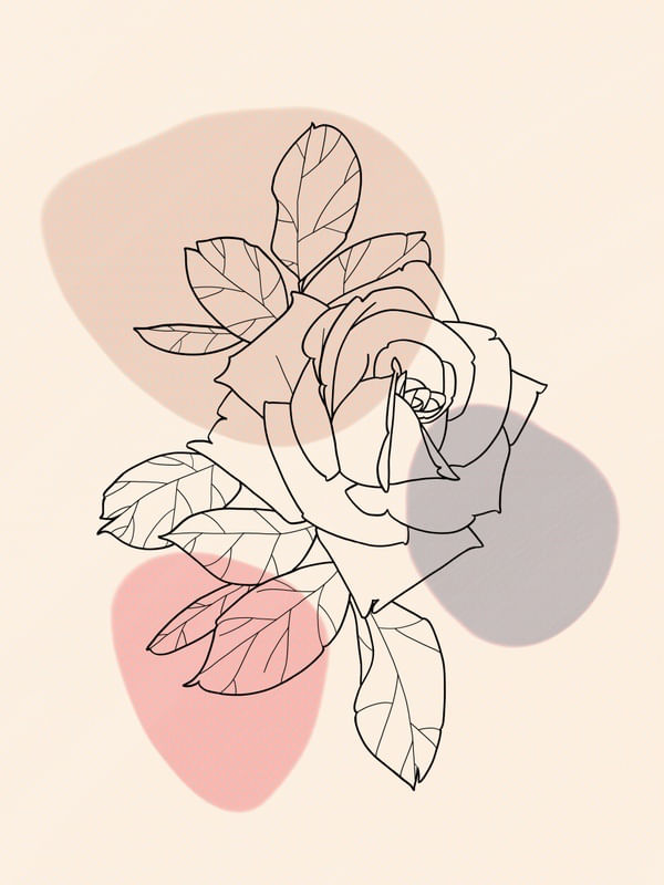FLOWER6