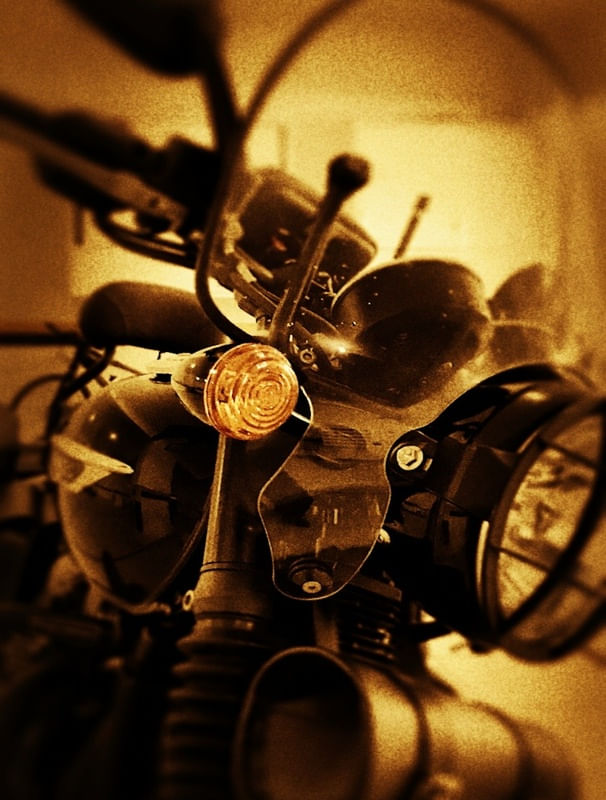 #BONNEVILLE FAU