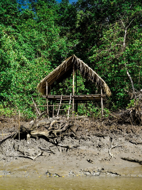 RANCHARIA AMAZÔNICA