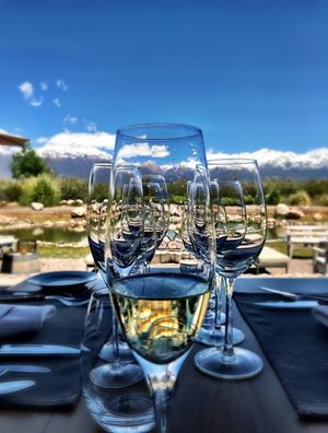 WINE GLASSES MENDOZA
