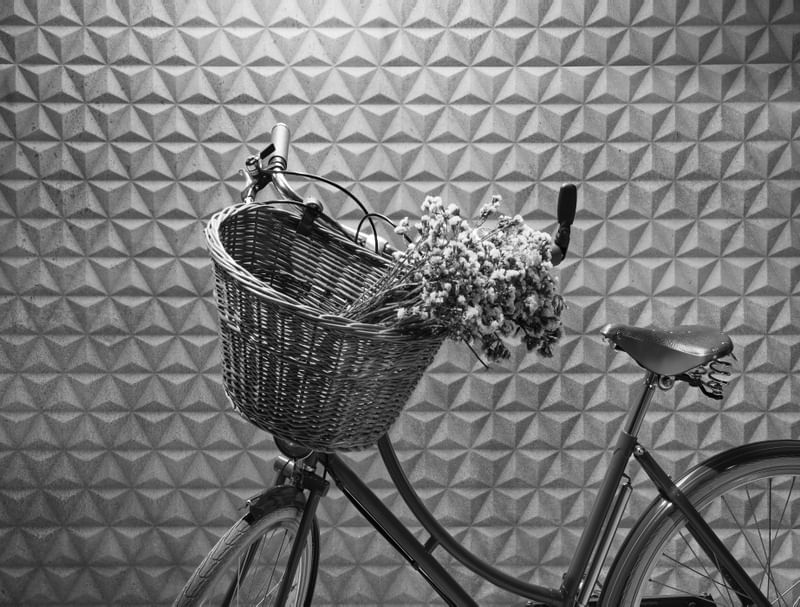 BIKEFLOR