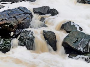 O RIO E A GARÇA