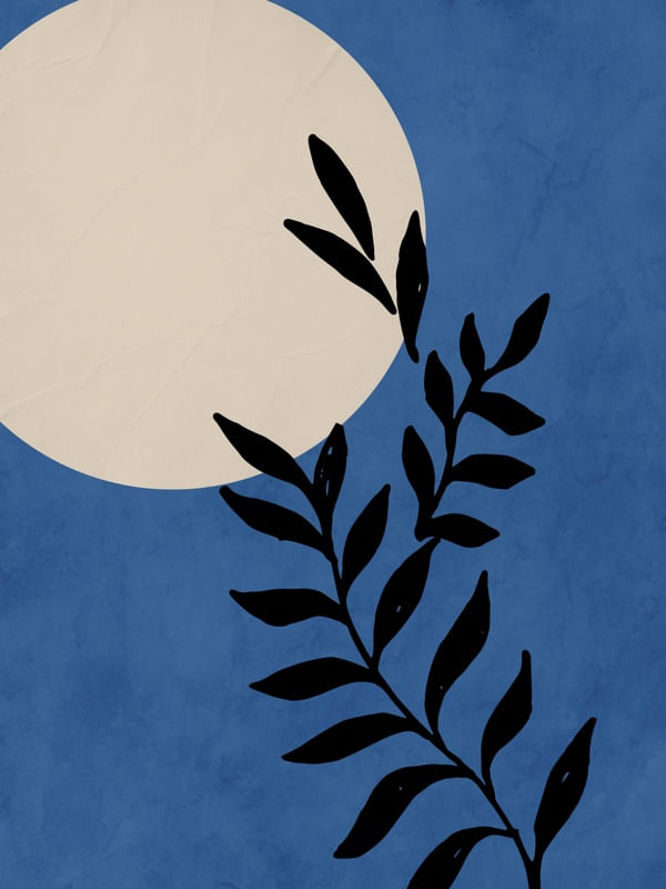 SOLAR MINIMALISTA 01