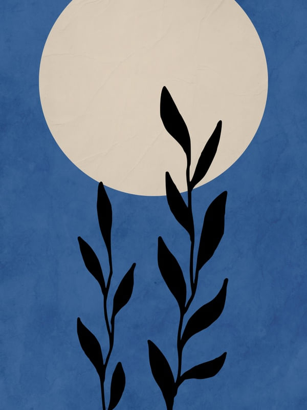 SOLAR MINIMALISTA 02
