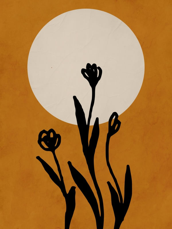 SOLAR MINIMALISTA 04