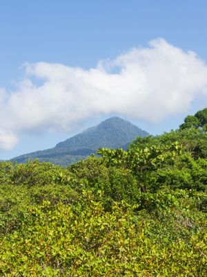 A SERRA DA JURÉIA