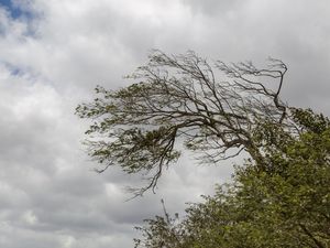 RESILIÊNCIA I