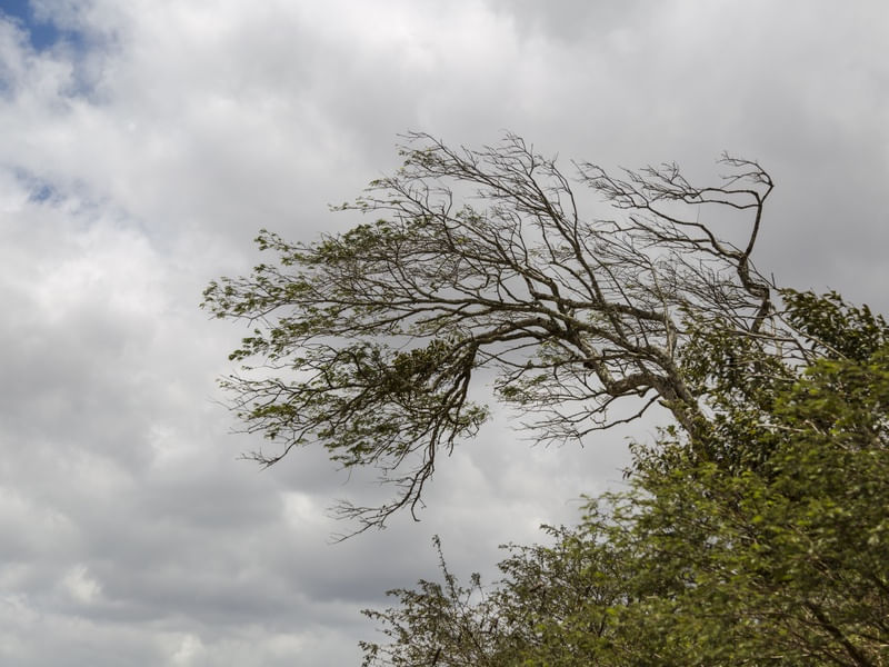 RESILIÊNCIA I