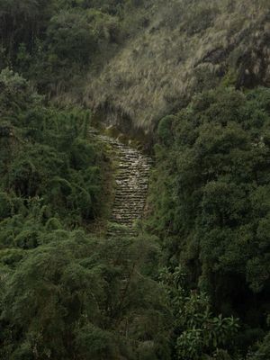 TX - PERU 2021 - 43