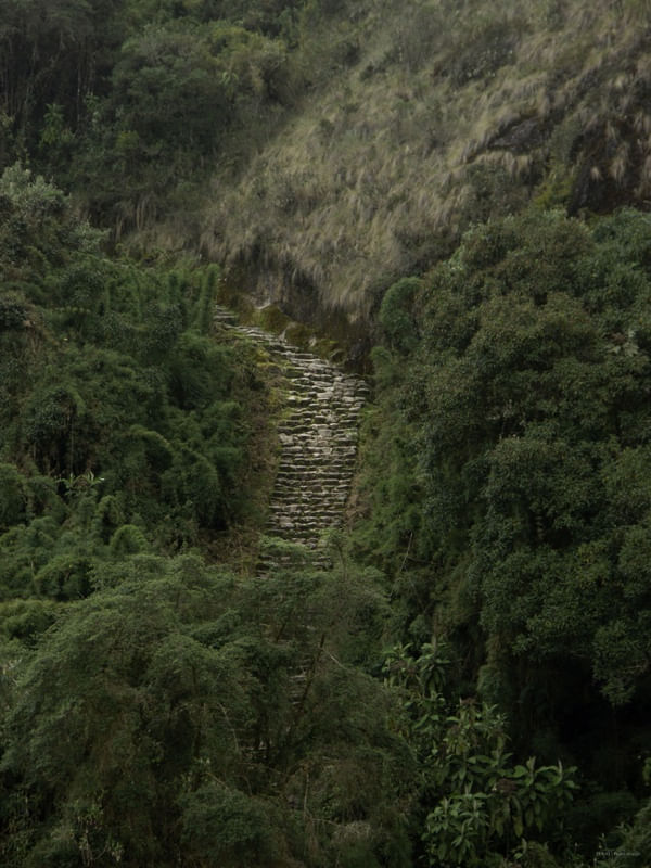 TX - PERU 2021 - 43