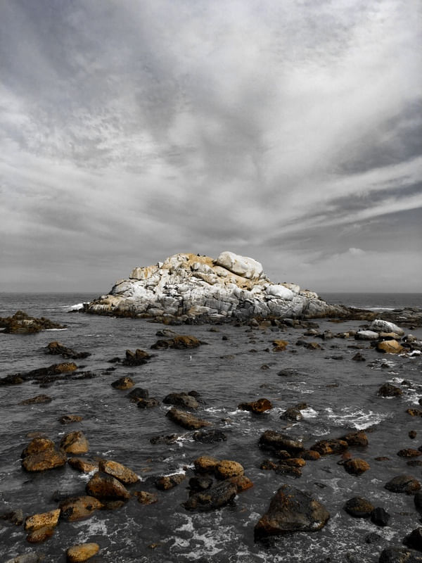 VINÃ DEL MAR