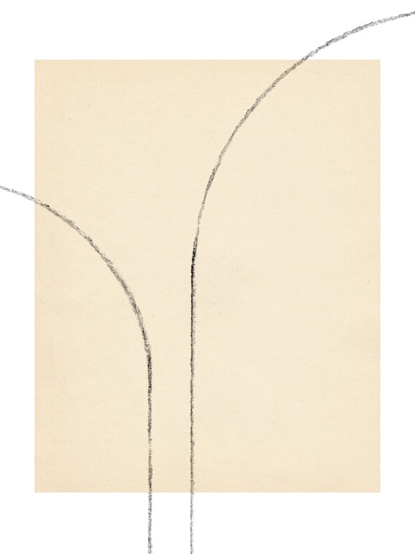 CURVED LINES GEOMETRY PASTEL